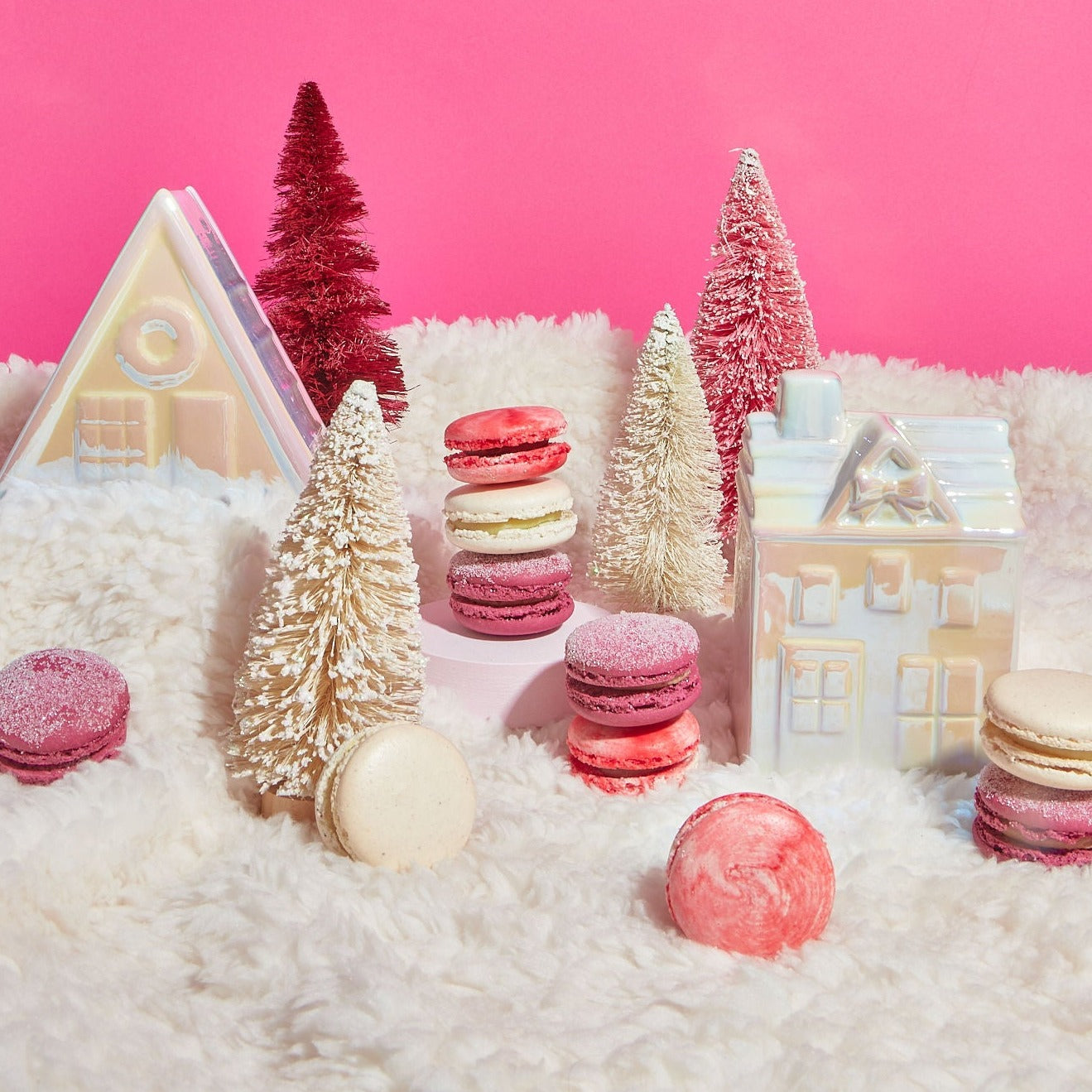 Holiday Macaron Variety Box